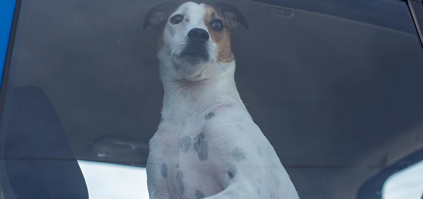 Car Lockout Solutions in Temecula, California